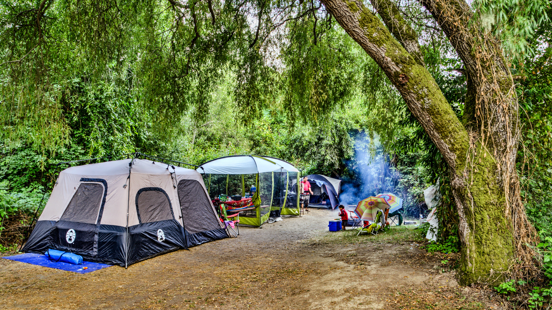 Casini Ranch Family Campground, Duncans Mills, CA | RVParking.com